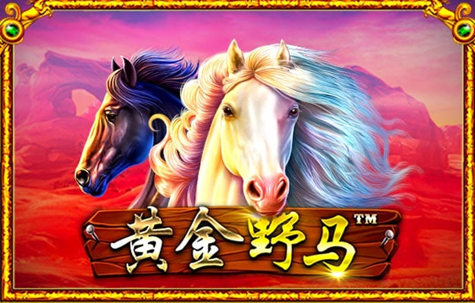 hq体育在线登录APP下载