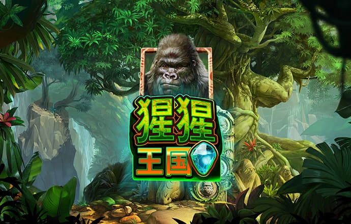aoa体育官网app